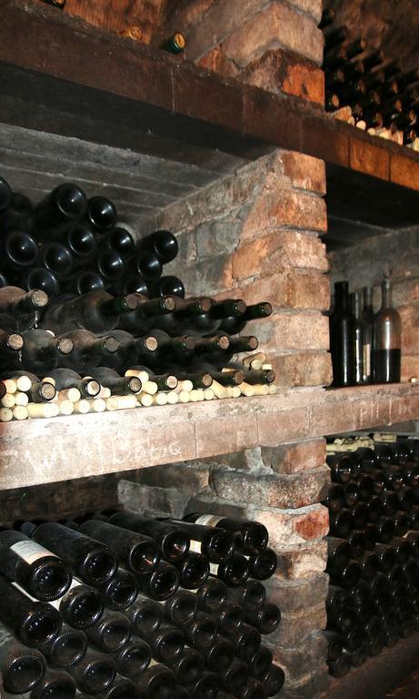 Penzion A Restaurace U Hroznu Velké Bílovice Buitenkant foto